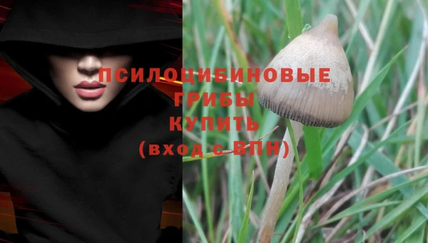 a pvp Алексин