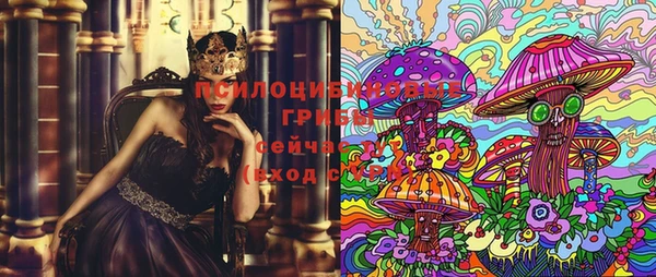 тгк Алексеевка