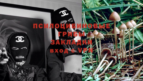 спиды Абдулино